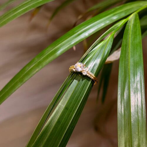 Elysia Ring